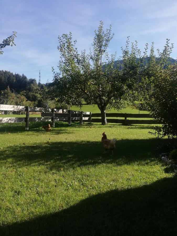 Apartamento Haus Schreder Saalfelden Exterior foto