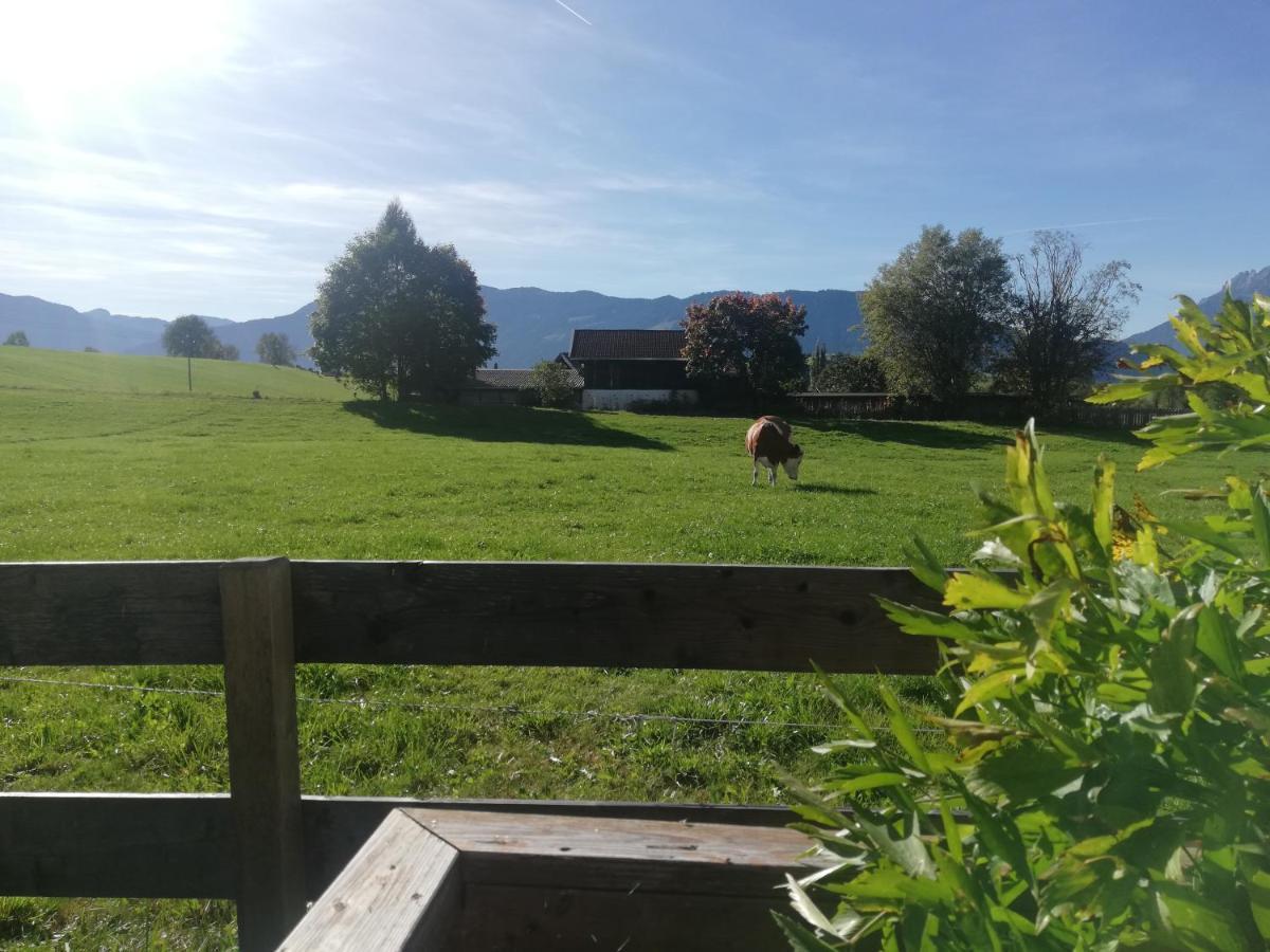 Apartamento Haus Schreder Saalfelden Exterior foto